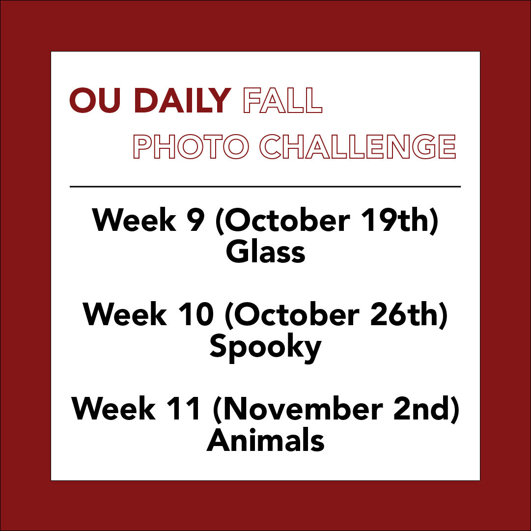 OU Daily Fall Photo Challenge Weeks 9-11